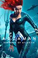 Aquaman: Heroines of Atlantis Poster 1