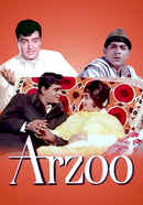 Arzoo Poster 3