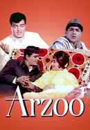 Arzoo Poster 6