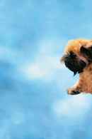 As Good As It Gets Poster 3