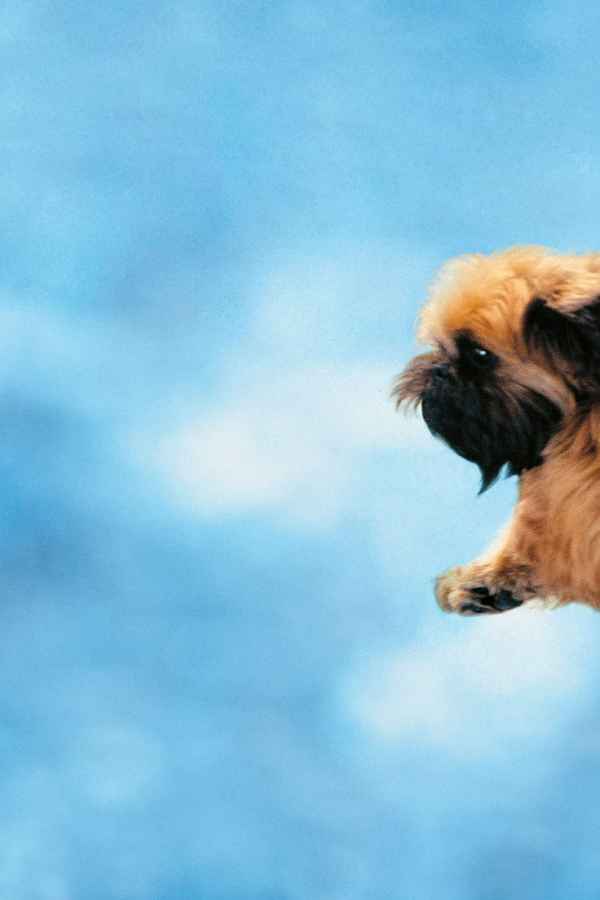 As Good As It Gets Poster 3