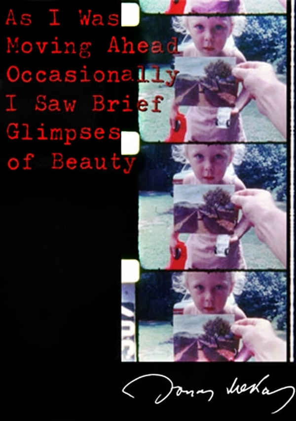 As I Was Moving Ahead Occasionally I Saw Brief Glimpses of Beauty Poster 7