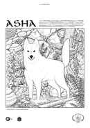Asha Poster 1