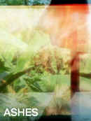 Ashes Poster 2