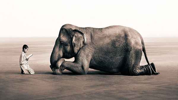 Ashes and Snow Poster 2