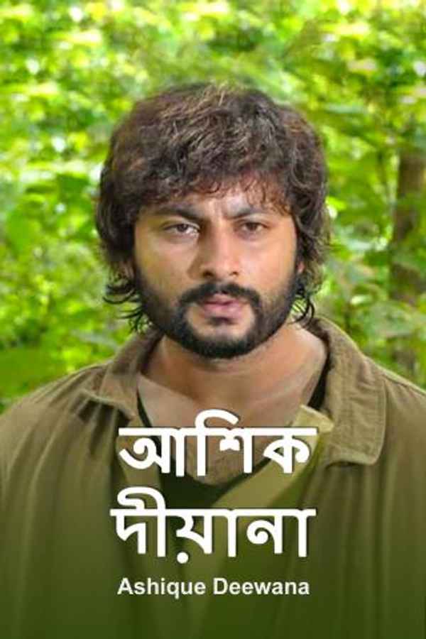 Ashique Deewana Poster 3