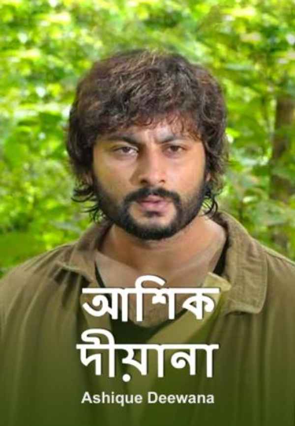 Ashique Deewana Poster 2