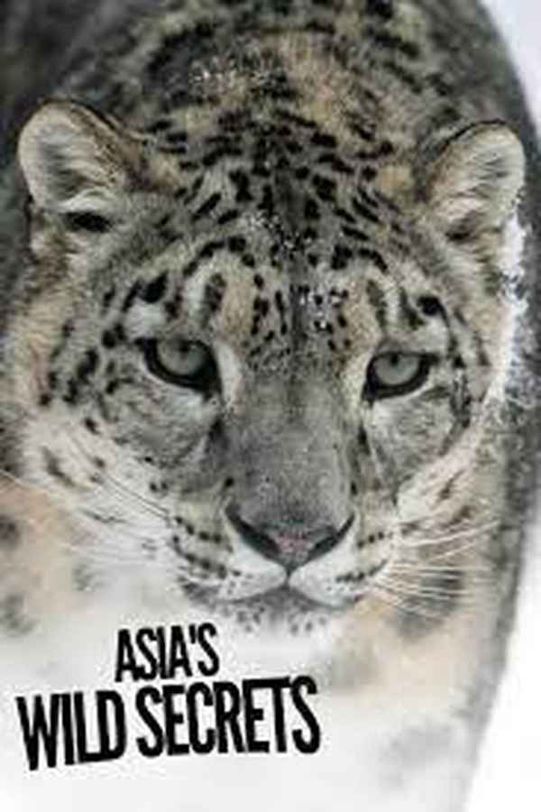 Asia's Wild Secrets Poster 7