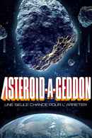 Asteroid-a-Geddon Poster 5