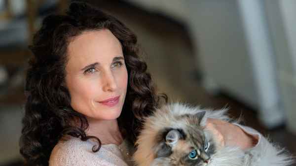 At Home in Mitford Poster 4