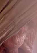 At the Stairs Poster 5