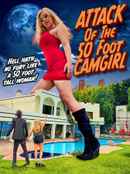 Attack of the 50 Foot Camgirl Poster 2