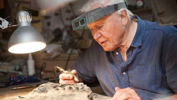 Attenborough and the Sea Dragon Poster 2