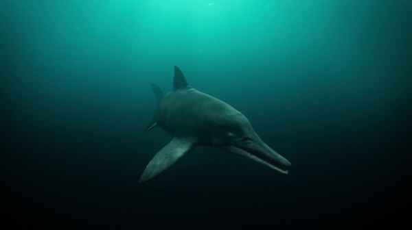 Attenborough and the Sea Dragon Poster 4