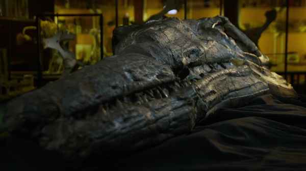 Attenborough and the Sea Dragon Poster 6