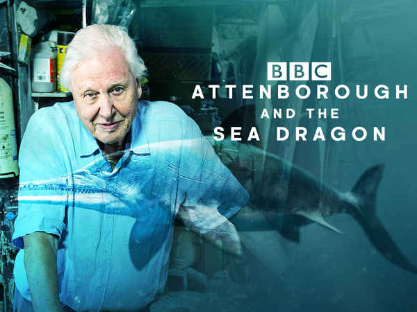 Attenborough And The Sea Dragon Poster 4