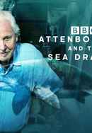 Attenborough And The Sea Dragon Poster 5