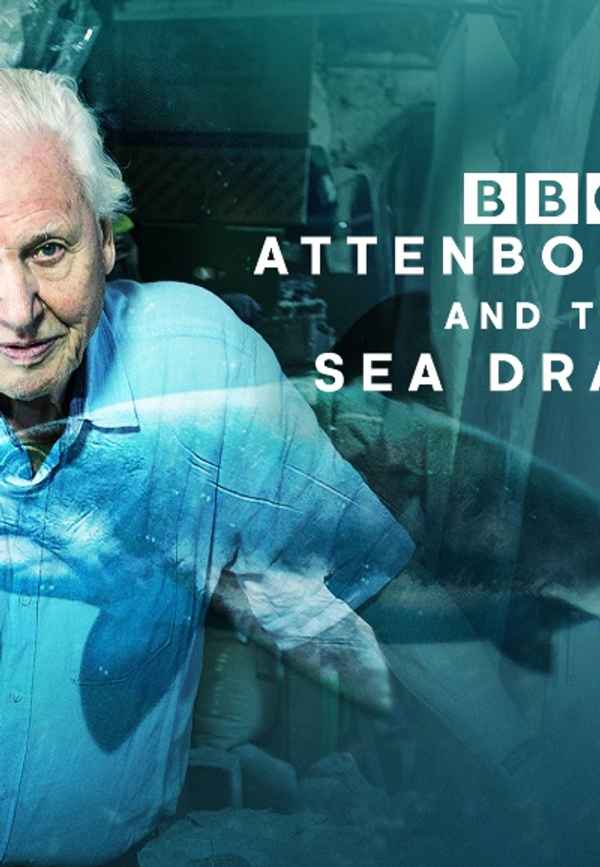 Attenborough And The Sea Dragon Poster 5
