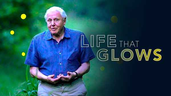 Attenborough's Life That Glows Poster 4