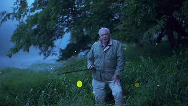 Attenborough's Life That Glows Poster 5