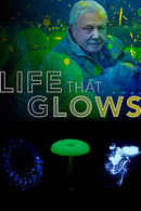 Attenborough's Life That Glows Poster 7