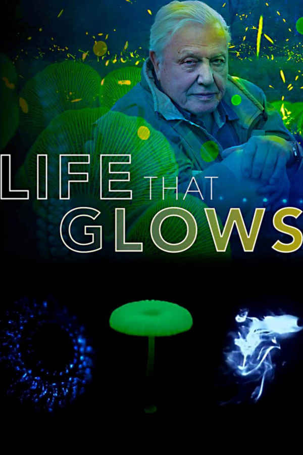 Attenborough's Life That Glows Poster 7