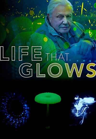 Attenborough's Life That Glows