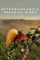 Attenborough's Paradise Birds Poster 2