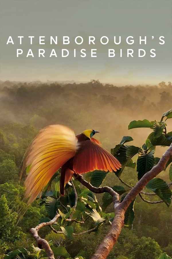 Attenborough's Paradise Birds Poster 2