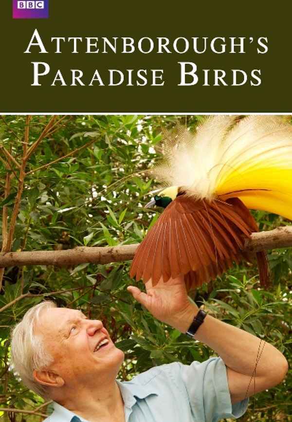 Attenborough's Paradise Birds Poster 3