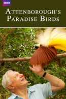 Attenborough's Paradise Birds Poster 1