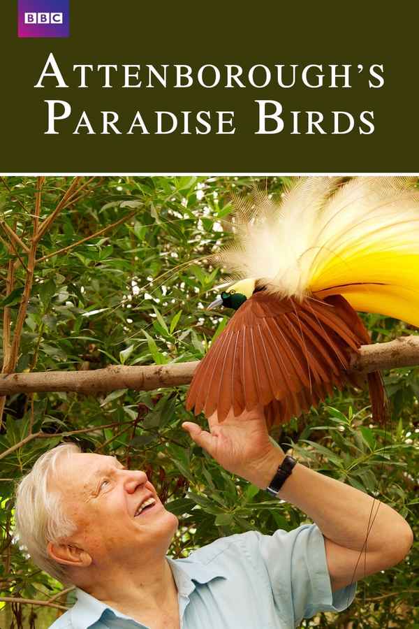 Attenborough's Paradise Birds Poster 1