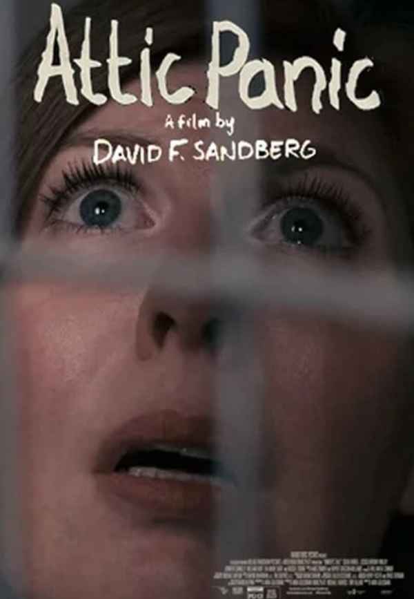 Attic Panic Poster 4