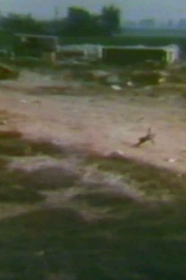 Audio and Visual Experiment 6 Poster 1