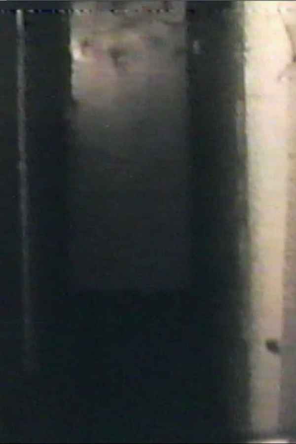 Audio and Visual Experiment 8 Poster 1