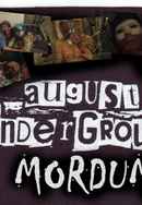 August Underground's Mordum Poster 4
