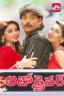 Auto Driver Poster 6