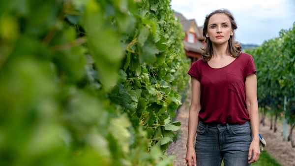 Autumn in the Vineyard Poster 6