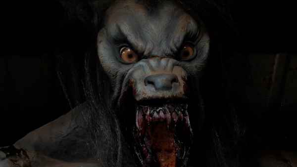 Autumn Road Poster 4