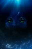 Avatar: The Deep Dive, A Special Edition Of 20/20 Poster 7