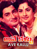 Ave Kallu Poster 2