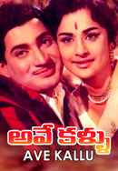 Ave Kallu Poster 5