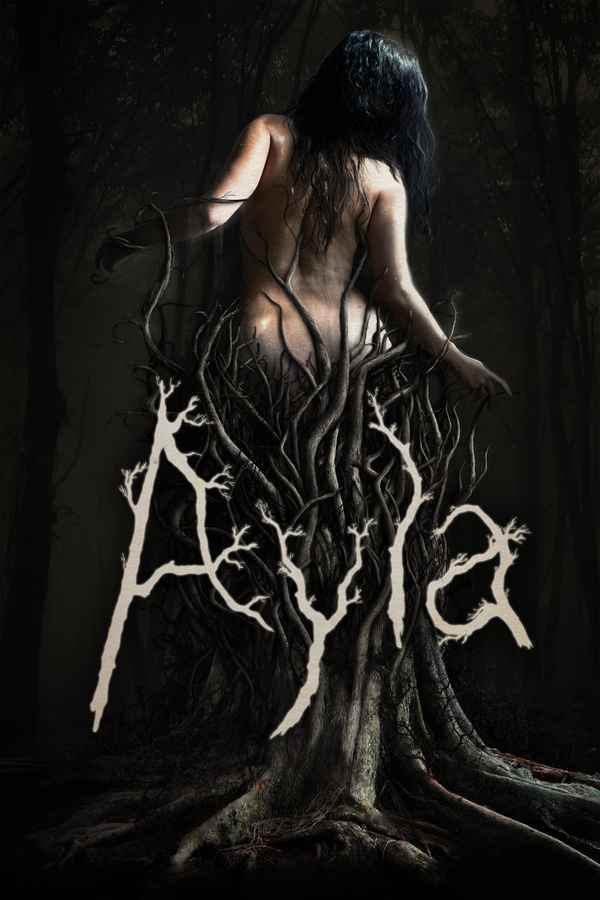 Ayla Poster 2