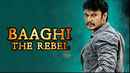 Baaghi The Rebel Poster 1