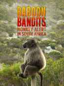 Baboon Bandits: Monkey Alert in South Africa Poster 2