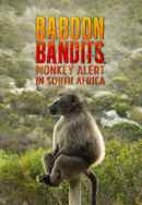 Baboon Bandits: Monkey Alert in South Africa Poster 4