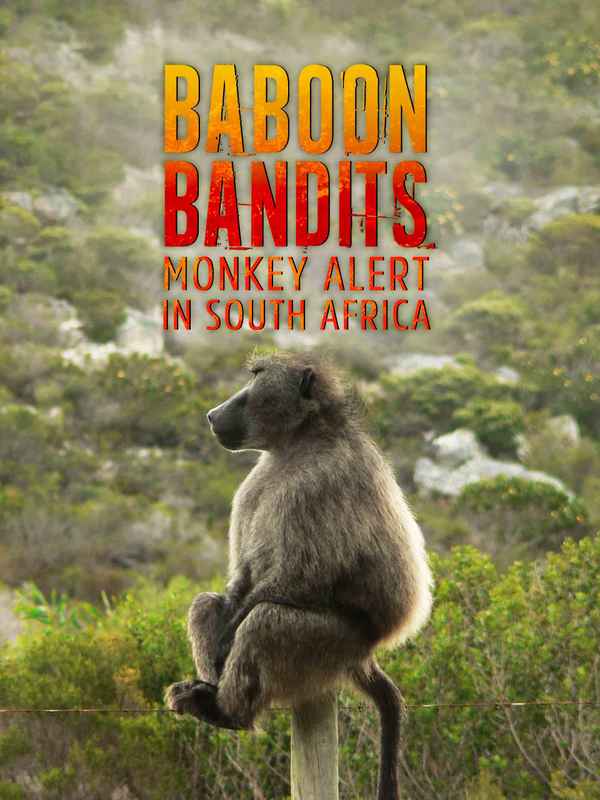 Baboon Bandits: Monkey Alert in South Africa Poster 1
