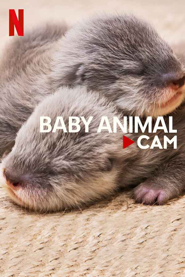 Baby Animal Cam Poster 6