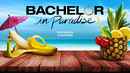 Bachelor in Paradise Poster 3