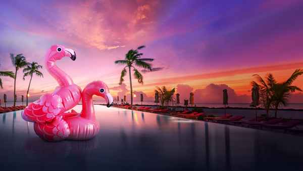 Bachelor in Paradise Poster 1